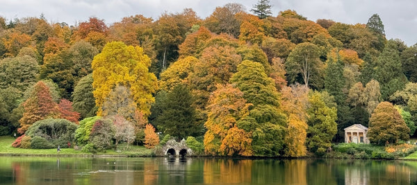 A Look Back at October