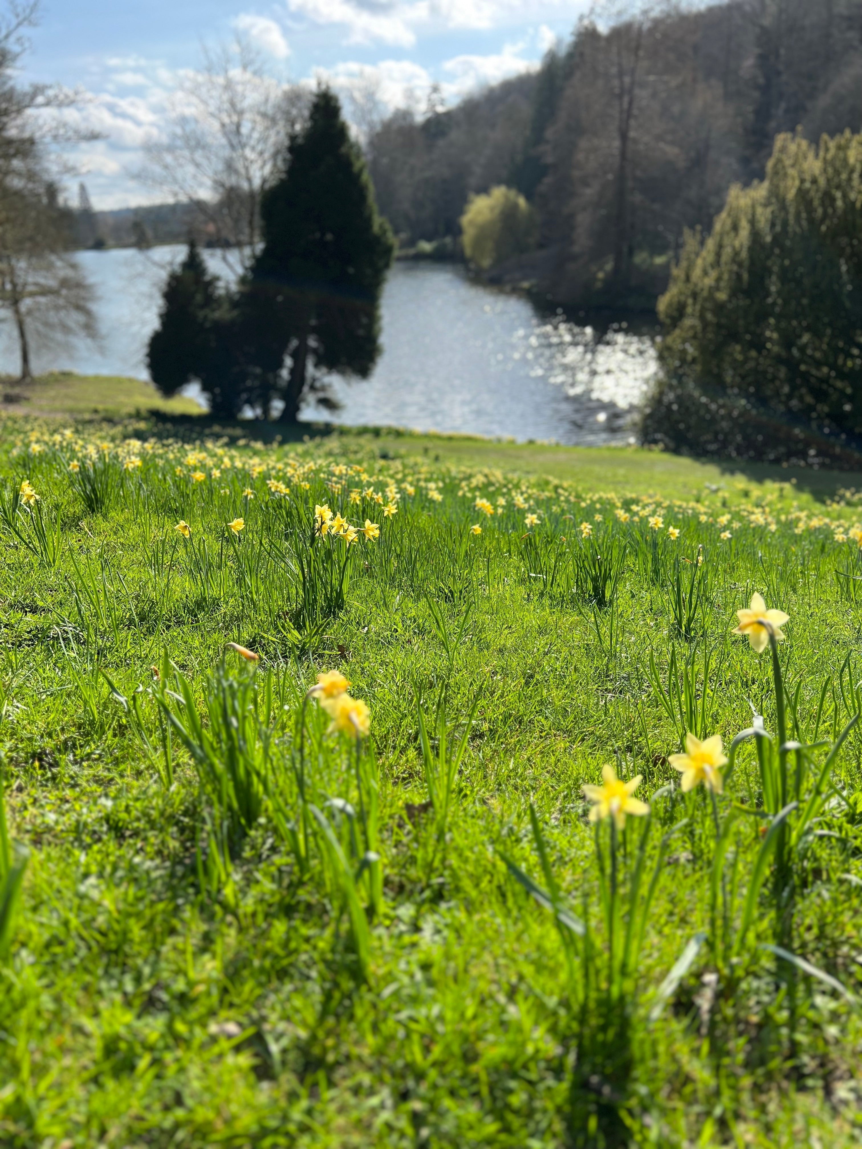 Fresh Shoots: A Spring Awakening – All About The Yarn