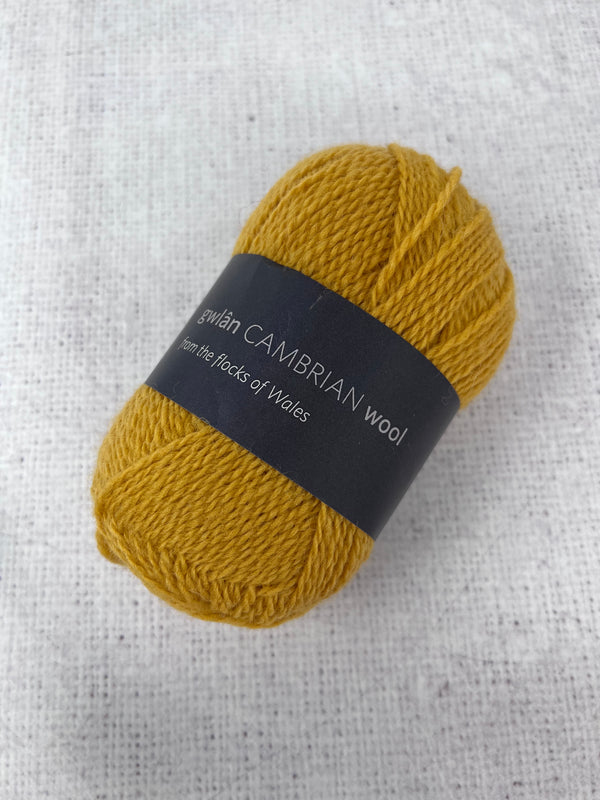 Cambrian Wool 4-ply 100% Welsh Mule British Wool Yarn