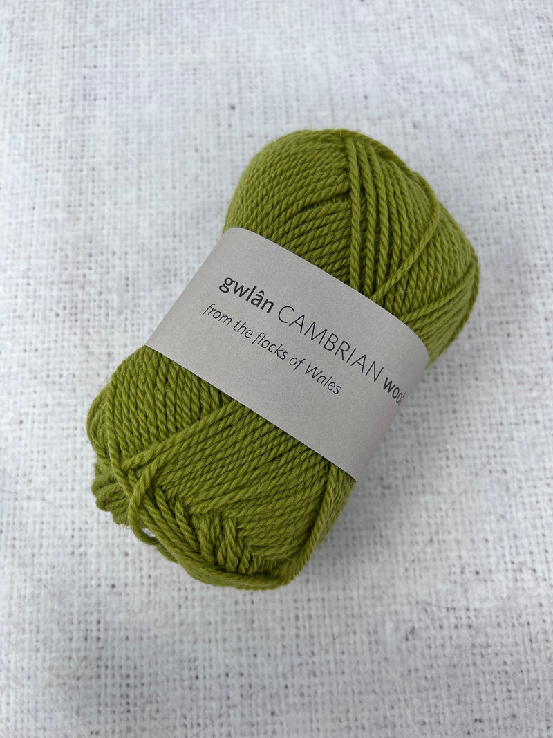 Cambrian Wool DK (Double Knit) 100% Welsh Mule British Wool Yarn