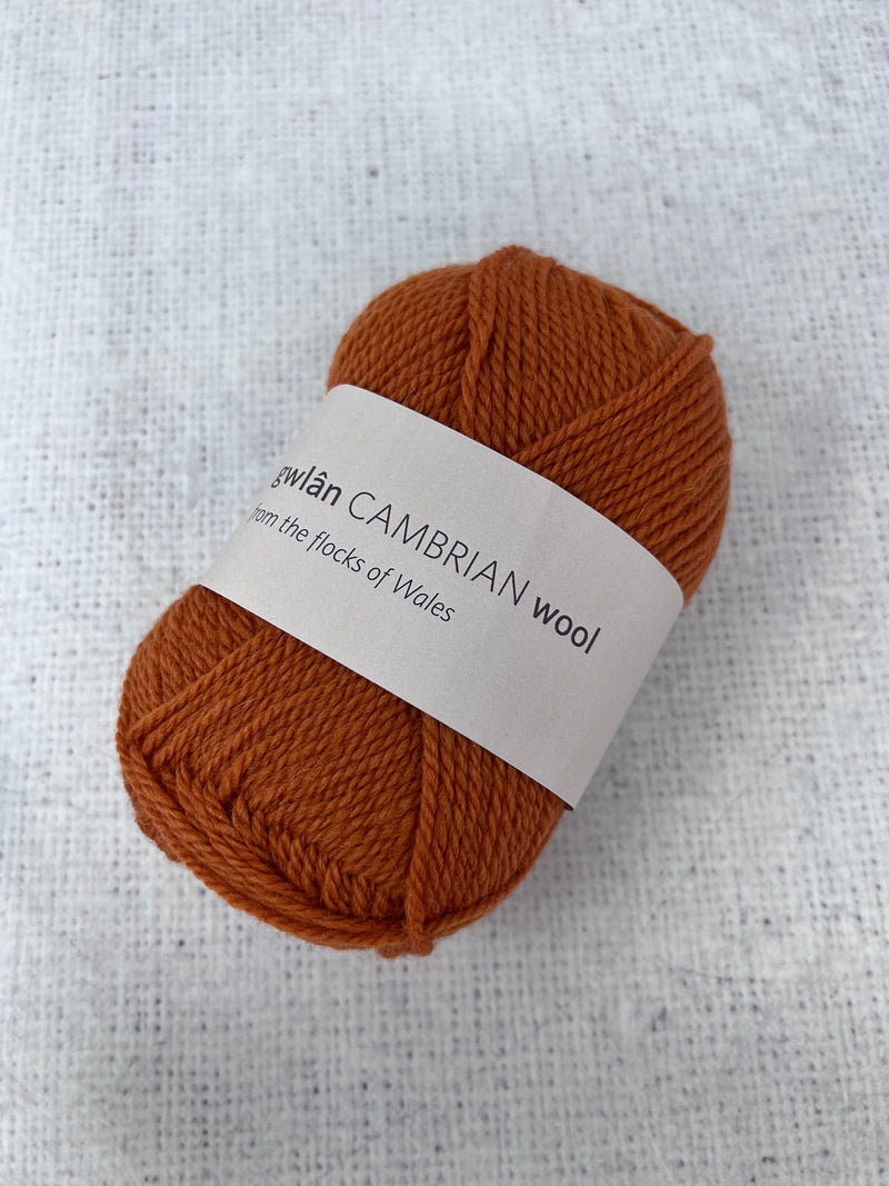 Cambrian Wool DK (Double Knit) 100% Welsh Mule British Wool Yarn