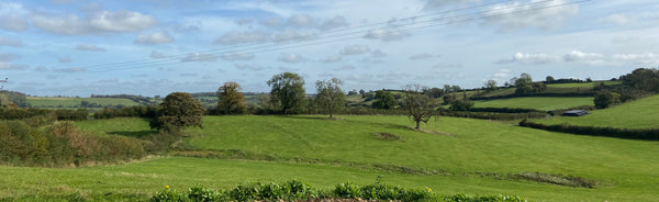 NEXT STEPS KNITTING: Fairisle-style Stranded Colourwork Wrist Warmers - Wednesday 21st January 2026 9.30am - 1.00pm