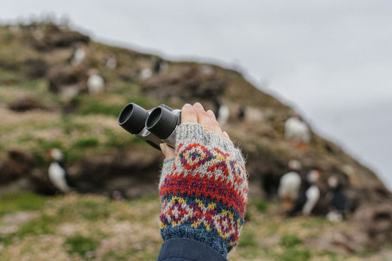 Fair Isle Weekend by Mary Jane Mucklestone