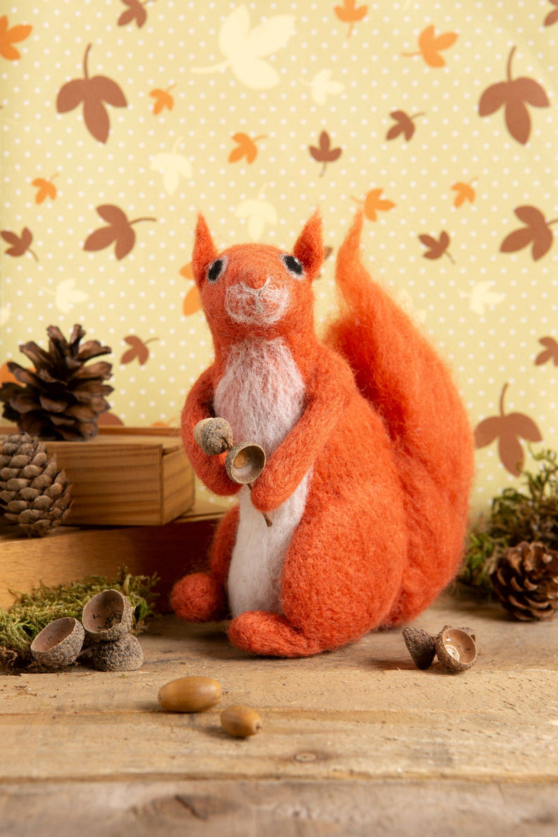 Red Squirrel Needle Felting Kit